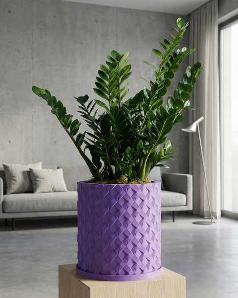 A begonia plant with spotted leaves sits in a purple woven planter pot on a wooden windowsill.