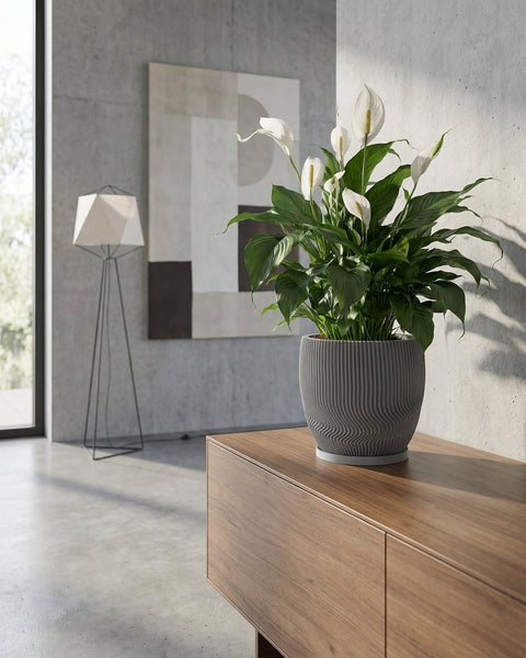 A peace lily in a gray planter pot sits on a wooden cabinet in a modern room with a concrete wall and floor lamp.