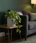 A lush green plant in a gray woven planter pot sits on a wooden side table next to a dark gray sofa.