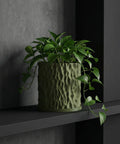 A green pothos plant in a textured green planter pot sits on a dark gray shelf against a gray wall.