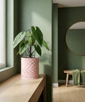 A pink planter pot with a geometric design sits on a wooden surface, holding a green plant with large leaves. The pot is the focal point of the image.