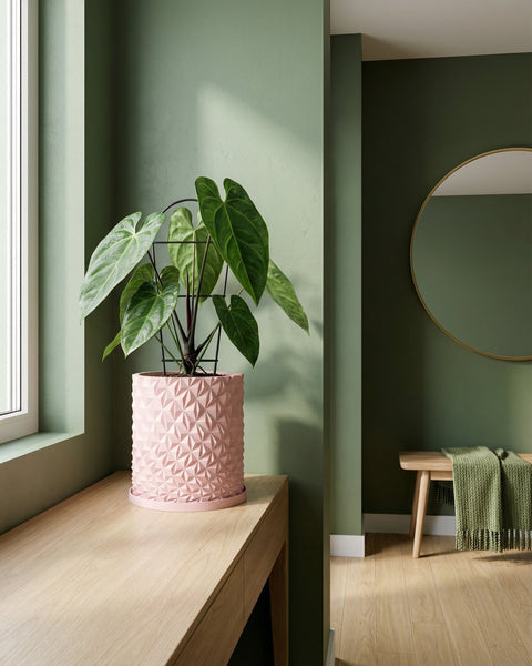 A pink planter pot with a geometric design sits on a wooden surface, holding a green plant with large leaves. The pot is the focal point of the image.
