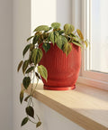 A red planter pot with a plant inside sits on a windowsill next to a window. The pot has a unique, wavy design.