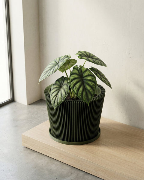 A green planter pot with a spider plant sits on a wooden table next to a beige couch.