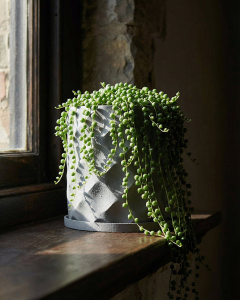 A string of pearls plant in a gray geometric planter pot sits on a windowsill with natural light.