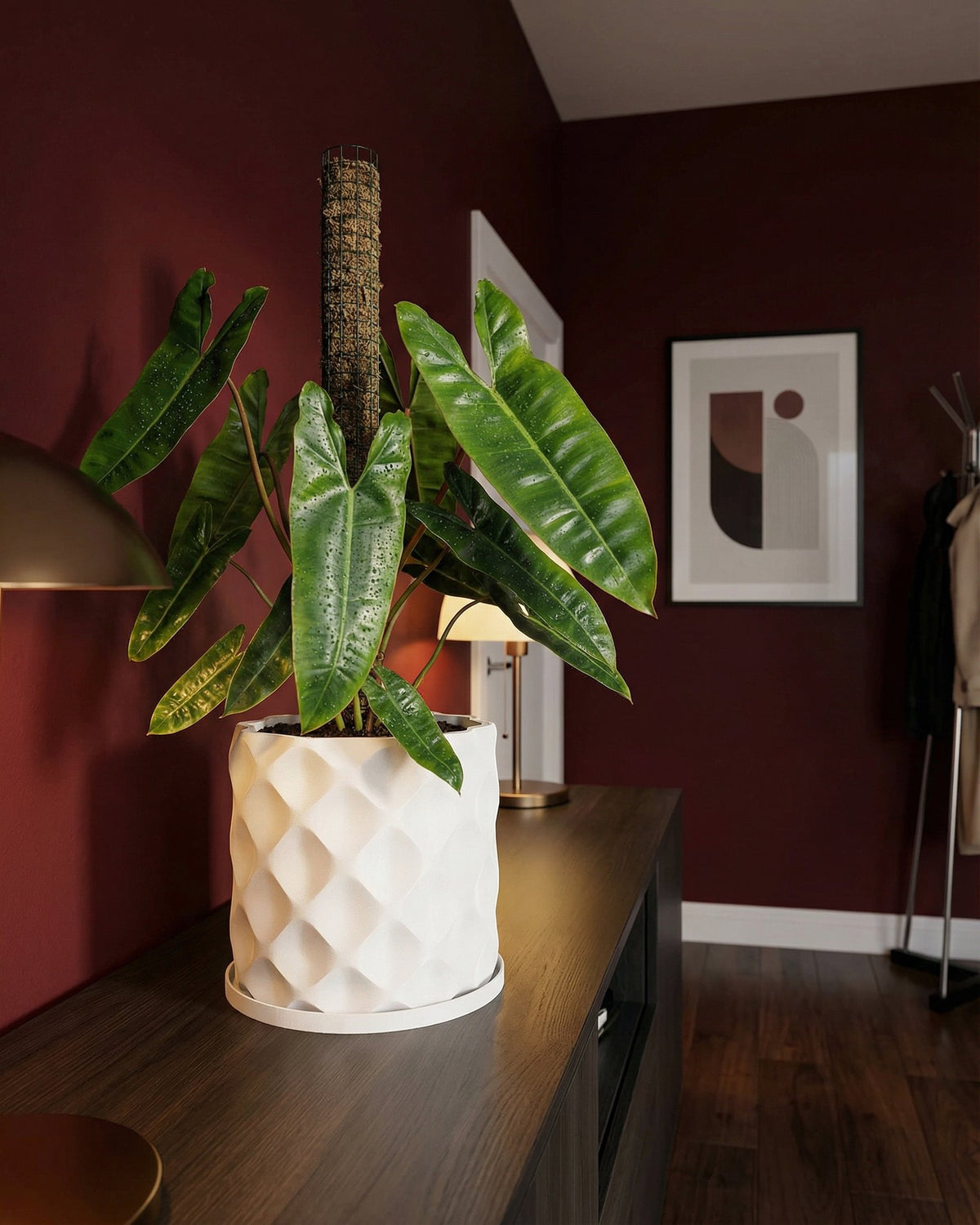 A white planter pot with a green plant sits on a dark wood table in a room with red walls.