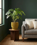 A Monstera plant sits in a yellow planter pot on a wooden table next to a gray couch with two pillows.