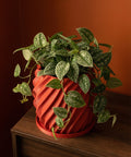 A red, twisted planter pot sits on a wooden surface, filled with a lush, green plant with speckled leaves. The background is a warm, orange hue.