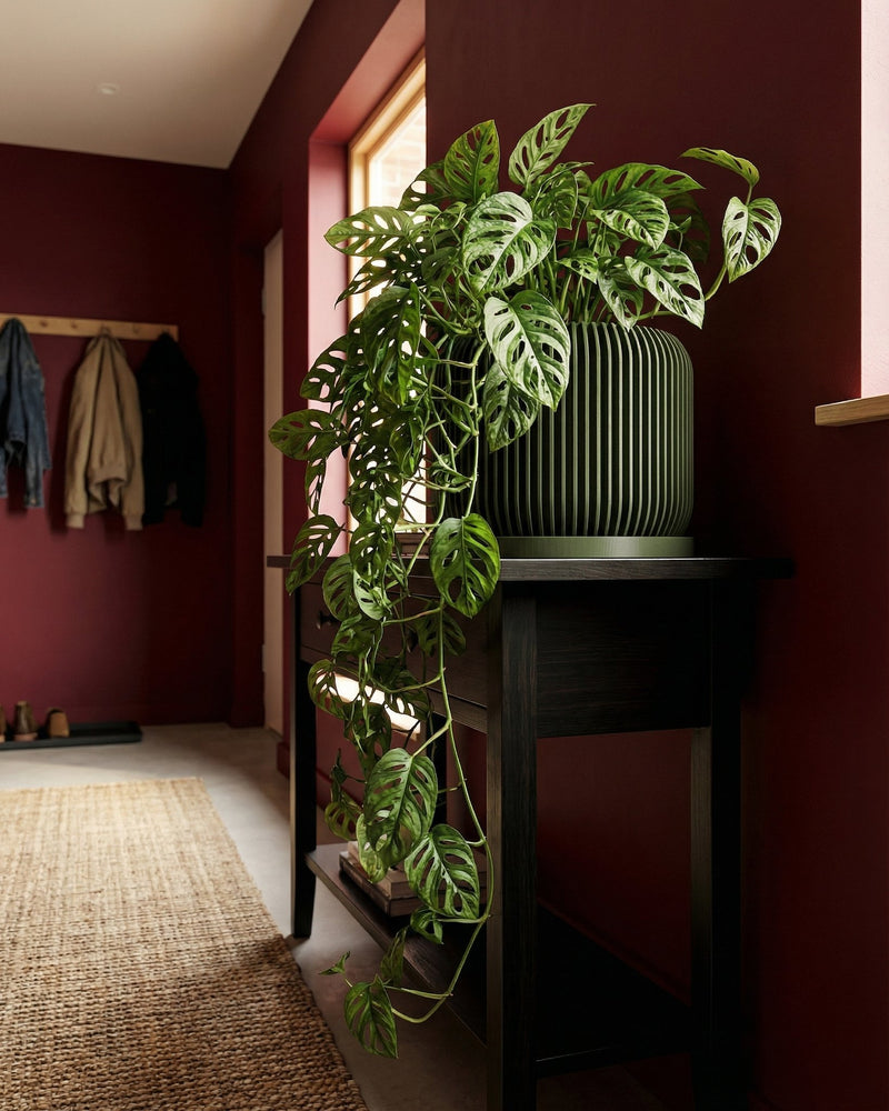 A green planter pot with a banana plant inside, sitting on a wooden stool. The pot has a geometric pattern.