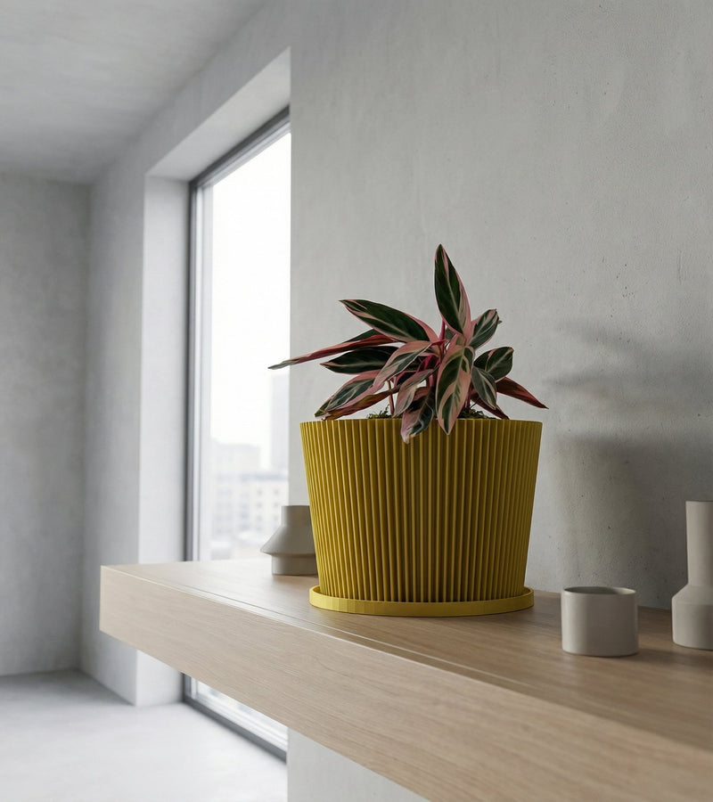 A yellow planter pot with a geometric pattern sits on a dark wood table against a red wall, holding a lush green plant.