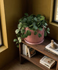 A pink planter pot with a plant on a wooden table, next to a round mirror and a lamp. The pot has a geometric pattern.
