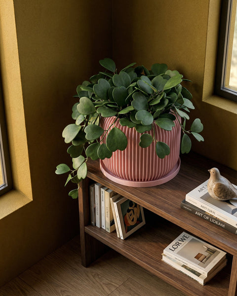 A pink planter pot with a plant on a wooden table, next to a round mirror and a lamp. The pot has a geometric pattern.