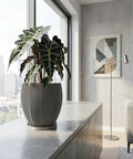 A gray planter pot with a green ivy plant sits on a wooden shelf against a rust-colored wall.