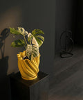 A vibrant yellow planter pot with a lush green plant sits atop a dark gray surface, adding a pop of color to the modern interior.
