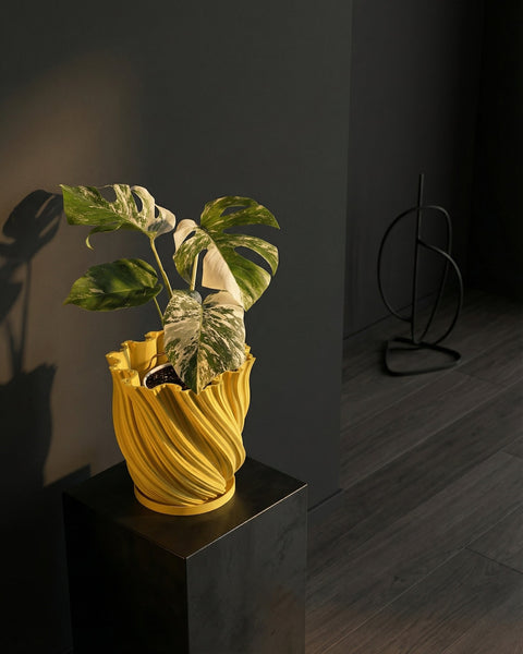 A vibrant yellow planter pot with a lush green plant sits atop a dark gray surface, adding a pop of color to the modern interior.