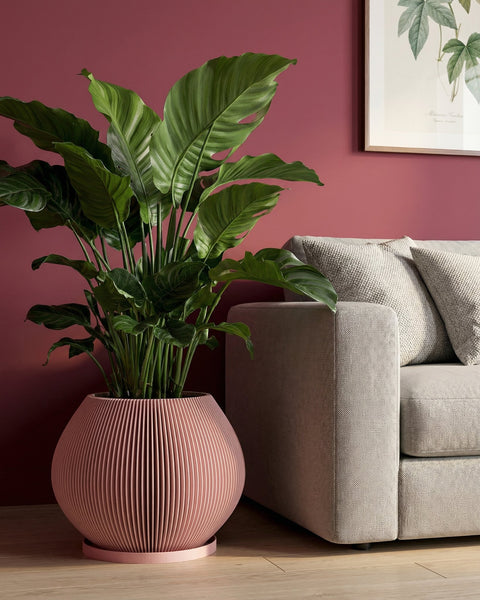 A pink planter pot with a green plant inside sits on a gray floor next to a white wall. The planter pot has a ribbed design and a saucer. In the background, there is a wooden bench and a window with white curtains.