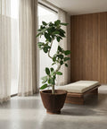 A tall, slender houseplant with lush green leaves sits in a unique, vertically-ribbed brown planter pot. The pot is the focal point, contrasting with the light, airy room featuring sheer curtains, a modern daybed, and a wood-paneled wall. The overall aesthetic is minimalist and serene.