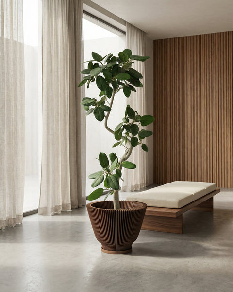 A tall, slender houseplant with lush green leaves sits in a unique, vertically-ribbed brown planter pot. The pot is the focal point, contrasting with the light, airy room featuring sheer curtains, a modern daybed, and a wood-paneled wall. The overall aesthetic is minimalist and serene.