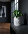 A Pilea peperomioides plant in a white geometric planter pot sits on a dark gray table near a window.