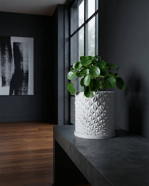 A Pilea peperomioides plant in a white geometric planter pot sits on a dark gray table near a window.