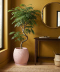 A pink planter pot with a textured design holds a green tree, sitting on a woven rug next to a wooden table.