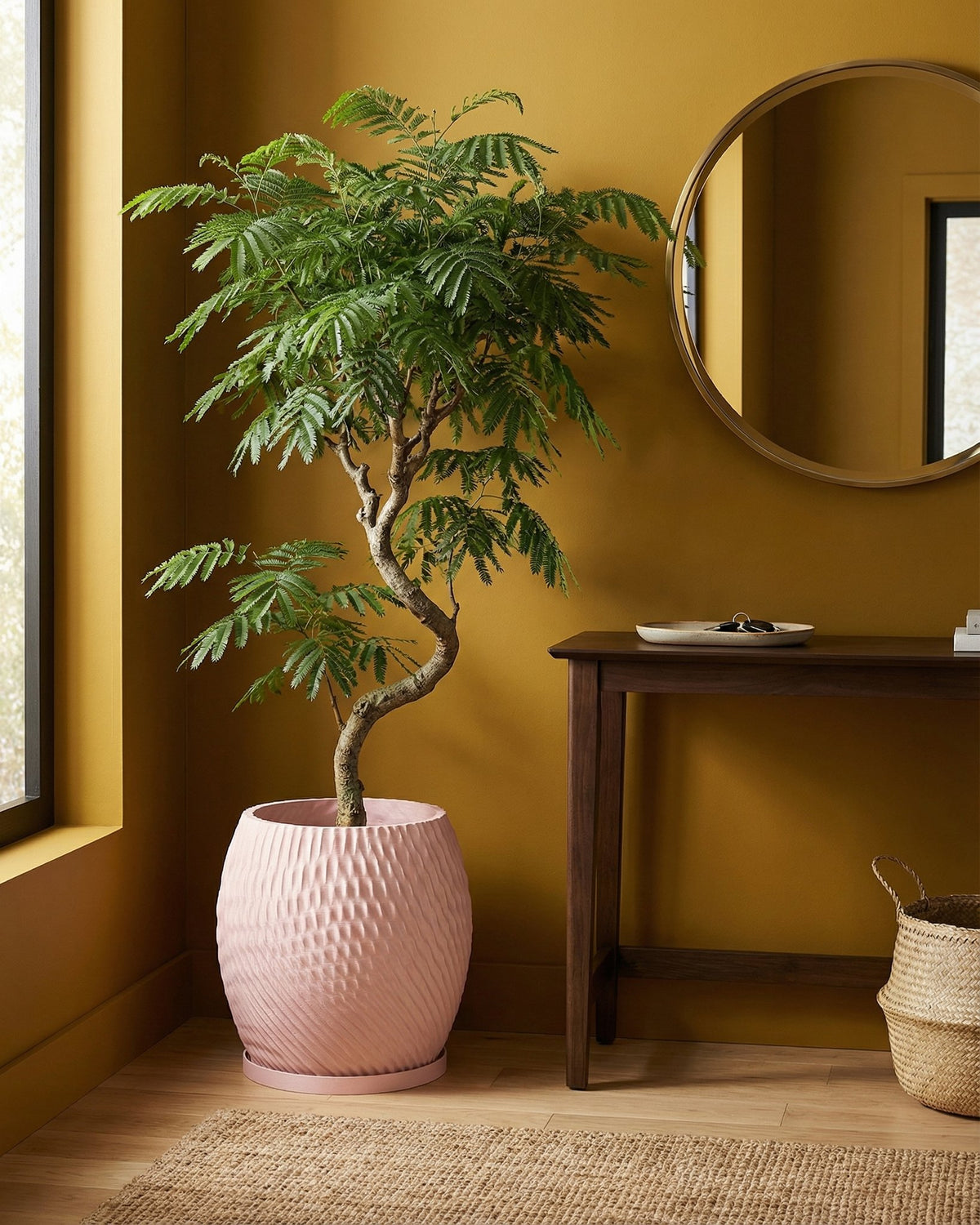 A pink planter pot with a textured design holds a green tree, sitting on a woven rug next to a wooden table.