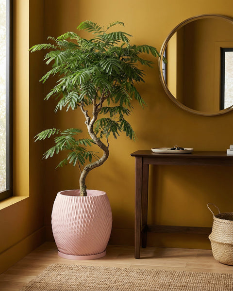 A pink planter pot with a textured design holds a green tree, sitting on a woven rug next to a wooden table.
