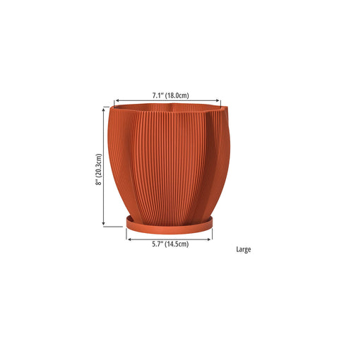 Terracotta Orange Coconut