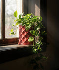 A vibrant pothos plant cascades from a red, textured planter pot, set on a dark windowsill bathed in sunlight.