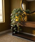 A yellow planter pot with a houseplant on a wooden table, with a round mirror on the wall behind it.