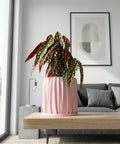 A pink planter pot with a textured design holds a green tree, sitting on a woven rug next to a wooden table.