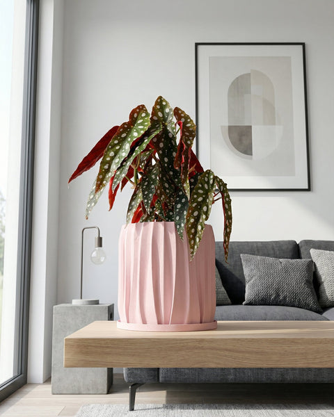 A pink planter pot with a textured design holds a green tree, sitting on a woven rug next to a wooden table.