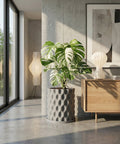 A modern interior with a Monstera plant in a gray, textured planter pot, next to a wooden cabinet and framed art.