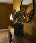 A Monstera plant in a black, textured planter pot sits on a dark wood floor in a room with dark green walls.