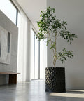 A black planter pot with a geometric design holds a leafy plant in a modern, minimalist room with large windows.