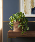 A Philodendron plant sits in a brown woven planter on a wooden table with a gold frame.