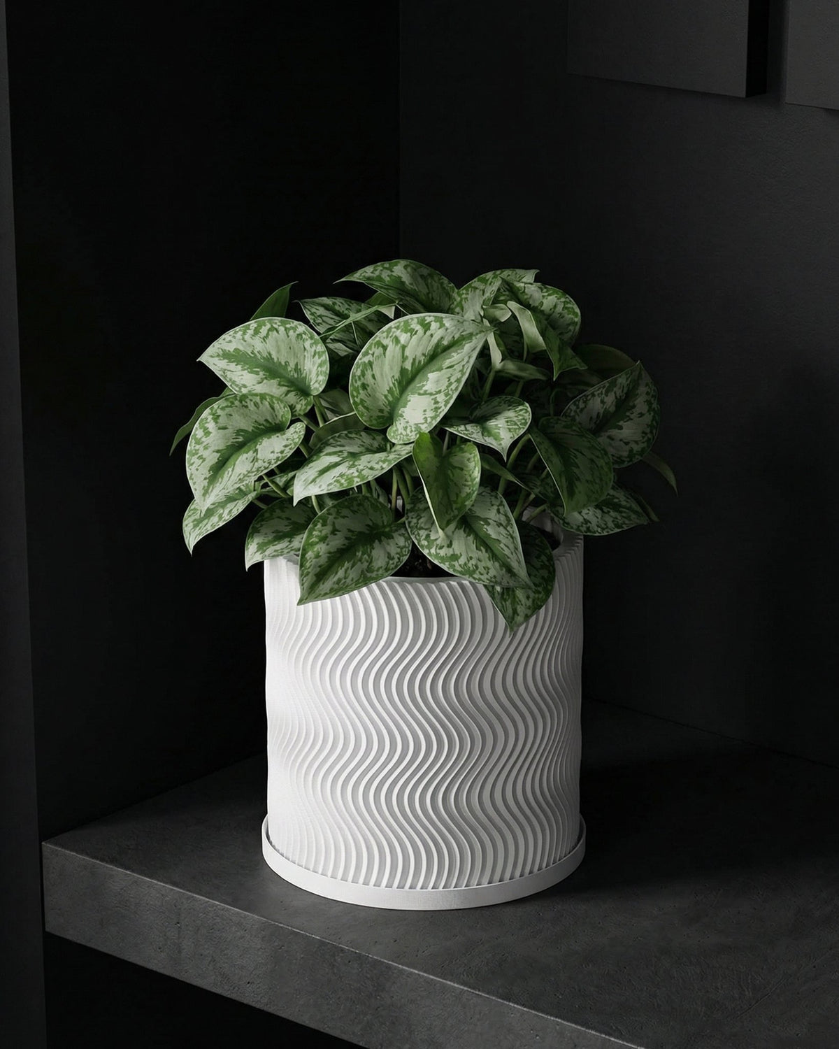 A white planter pot with a wavy design sits on a dark gray shelf, filled with a lush green plant.