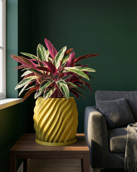 A vibrant Stromanthe plant in a yellow, textured planter sits on a wooden table next to a gray couch.