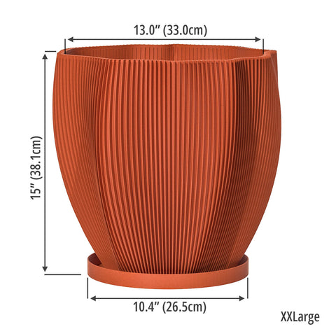 Terracotta Orange Coconut