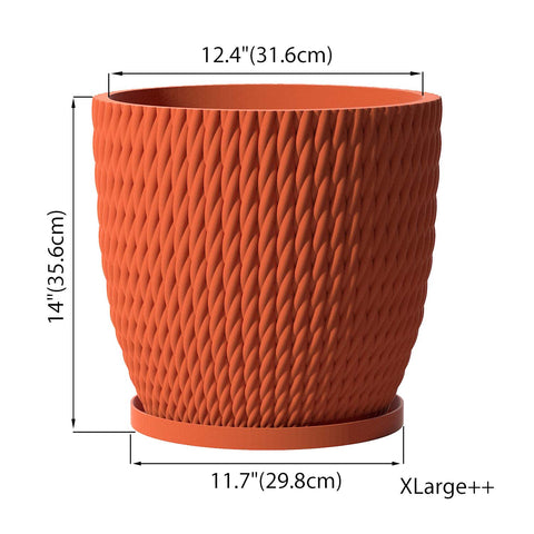 Terracotta Orange Vine