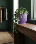 A purple planter pot with a plant on a wooden table. The pot has a textured design.