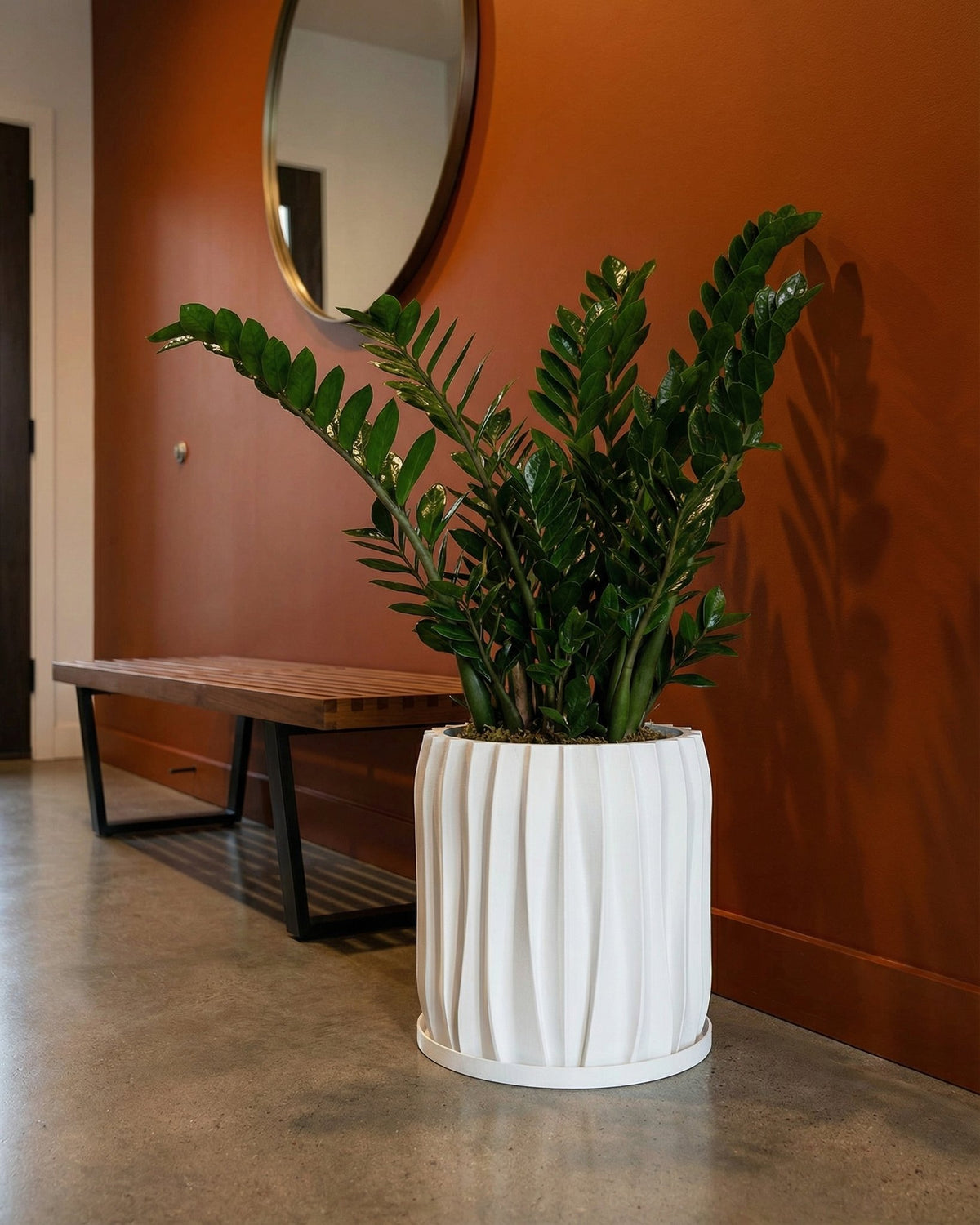 A potted Alocasia plant sits on a wooden shelf in front of a window. The plant is in a white, textured planter pot.