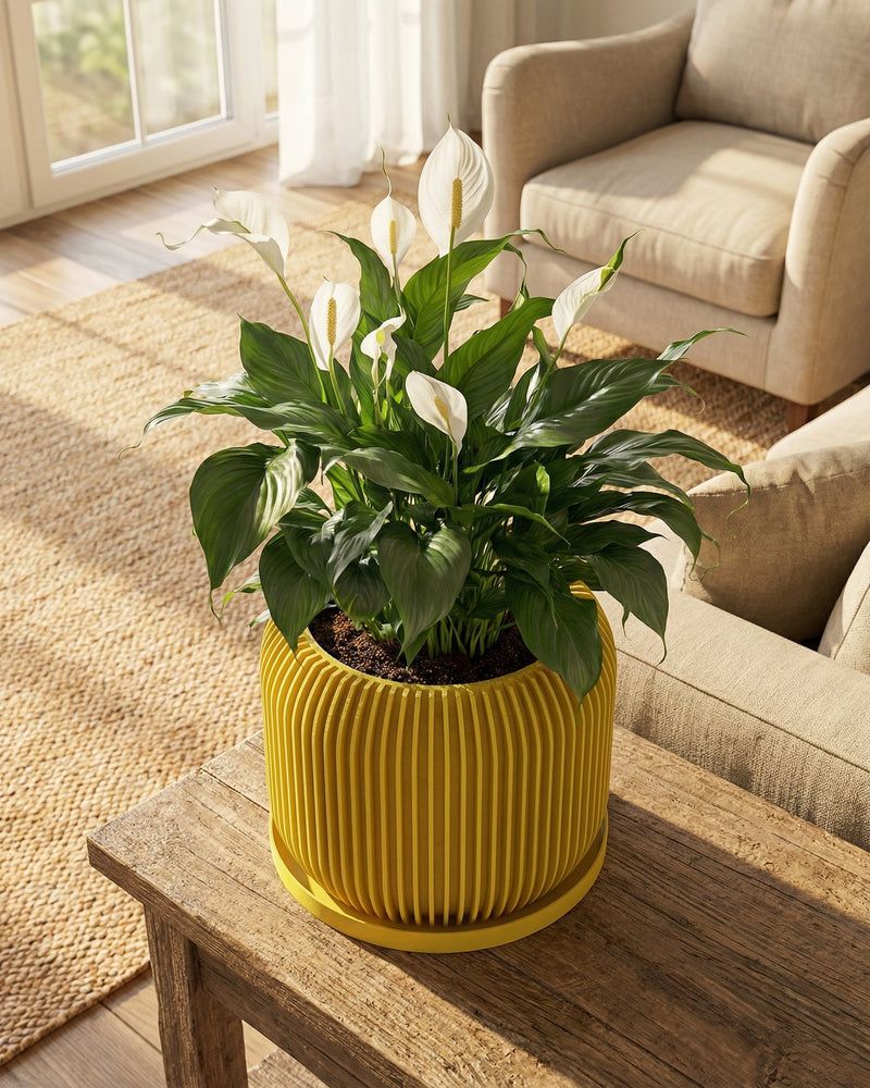 A yellow planter pot with a geometric pattern sits on a dark wood table against a red wall, holding a lush green plant.