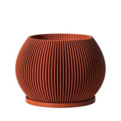 Terracotta Orange Melon