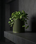 A green planter pot with a plant on a dark shelf. The pot has a ribbed design and the plant has green and yellow leaves.