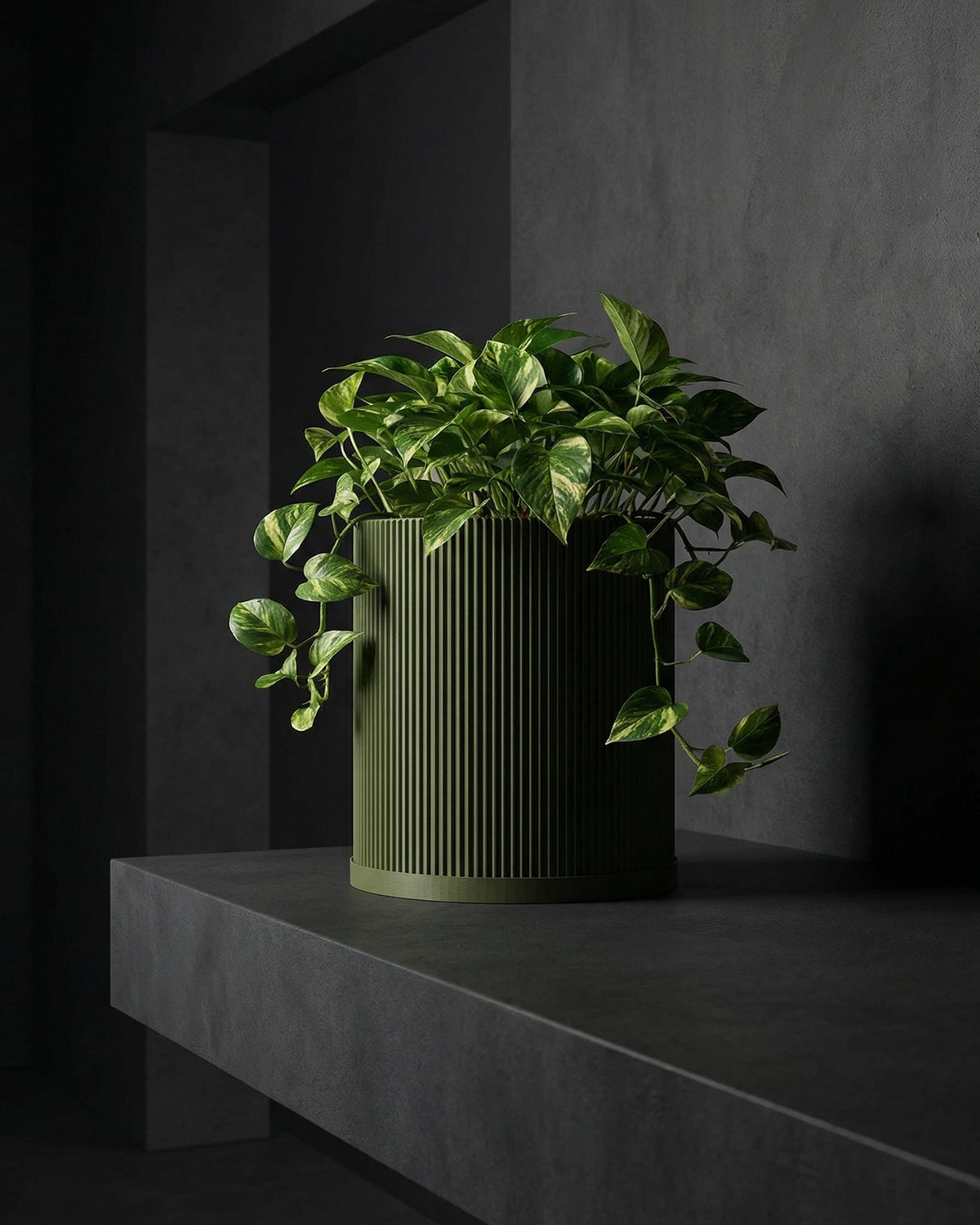 dark green indoor plant pot Planter Pot With Drainage, Saucer Included