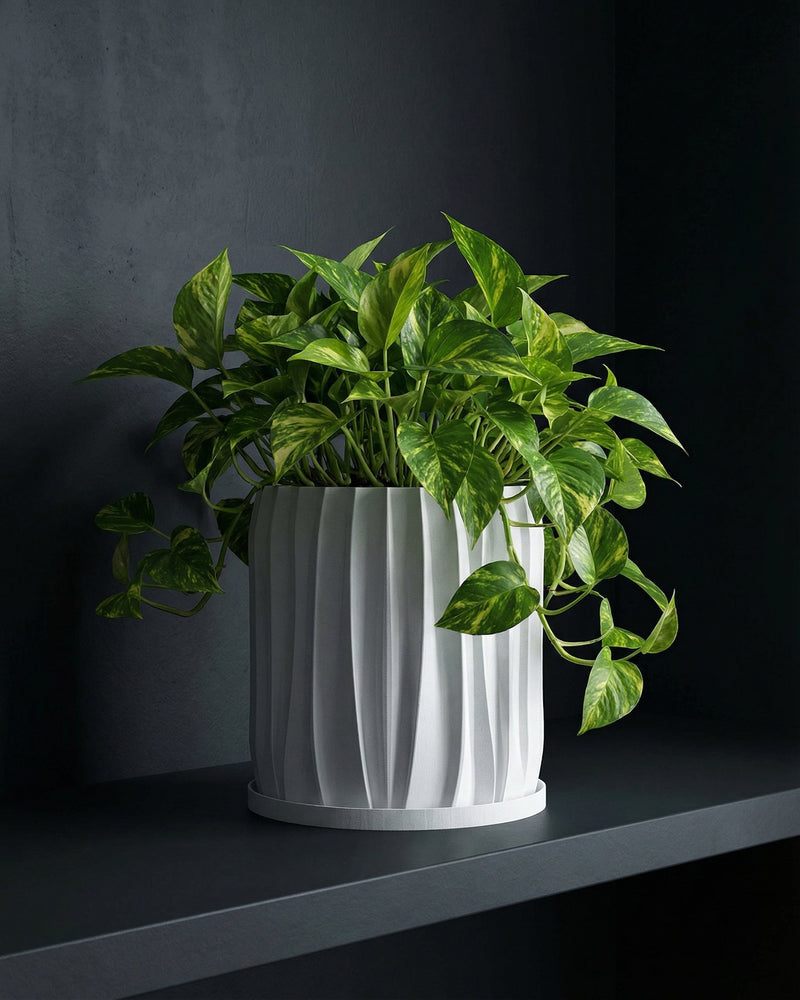 A string of pearls plant spills from a white, textured planter pot on a wooden console table in a room with dark green walls.