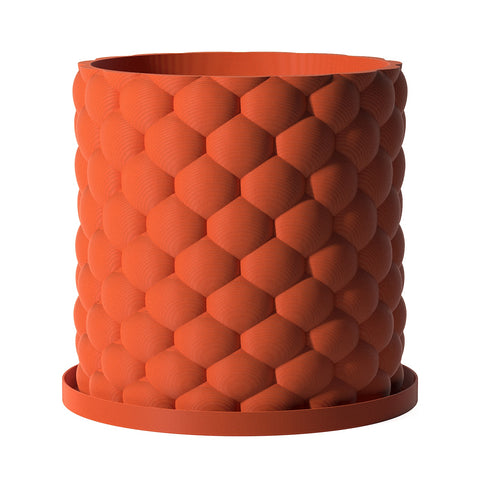 Terracotta Orange Bubble