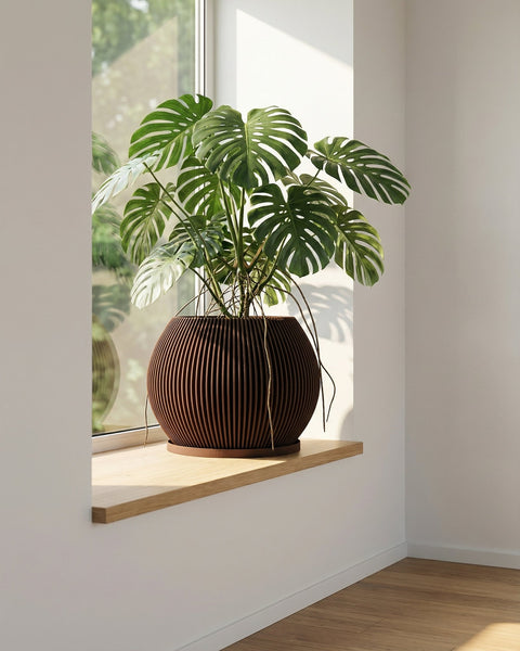 A Monstera plant in a brown, ribbed planter pot sits on a wooden windowsill, bathed in natural light. The pot is the focal point.