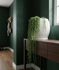 A string of pearls plant spills from a white, textured planter pot on a wooden console table in a room with dark green walls.